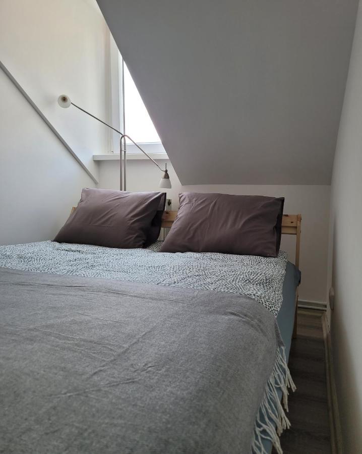 Excellent Apartments Central 3 Min Walk From The Colonnade Karlsbad Eksteriør billede